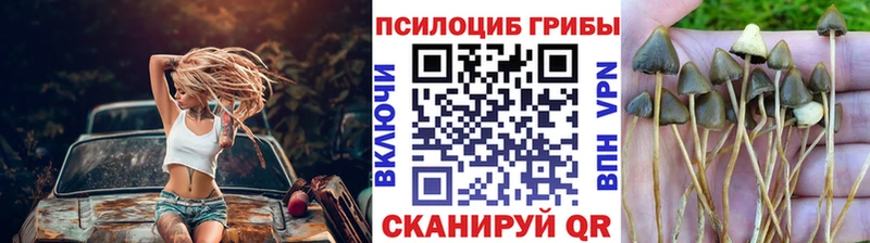 Галлюциногенные грибы GOLDEN TEACHER  Купить  Видное 