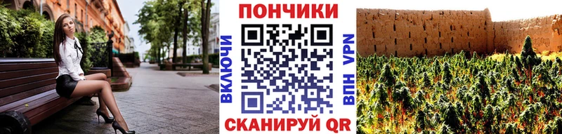 Конопля OG Kush  Купить  Видное 